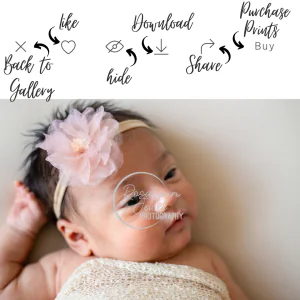 Newborn Photo Session