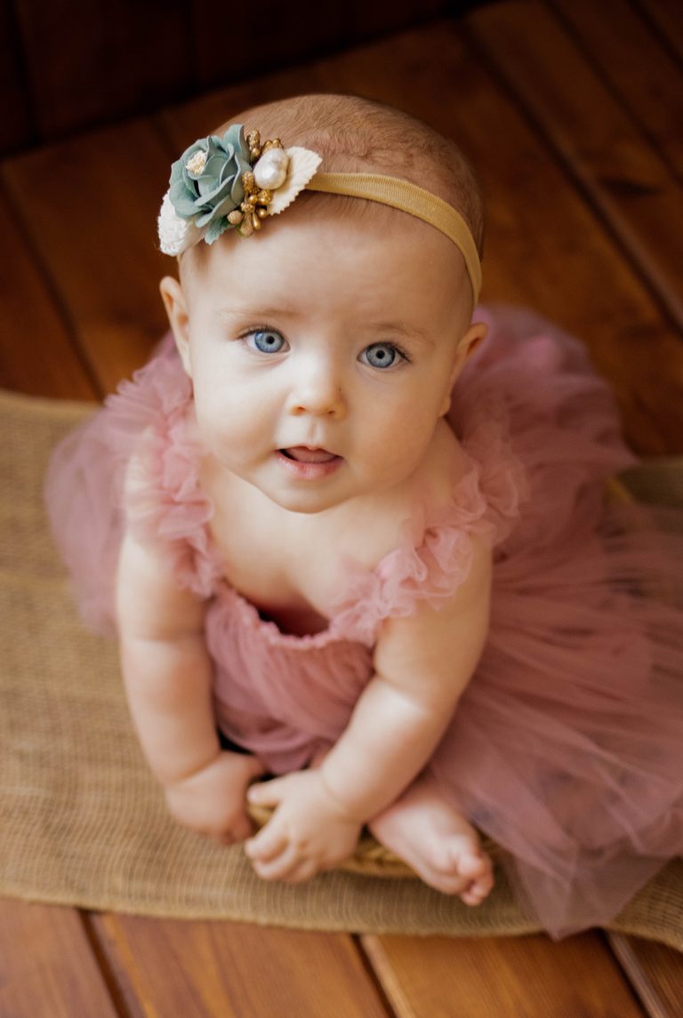 Baby Girl in Pink Dress Sitter Session
