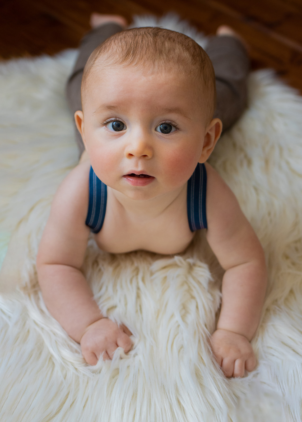 Sitter Photography Session AZ